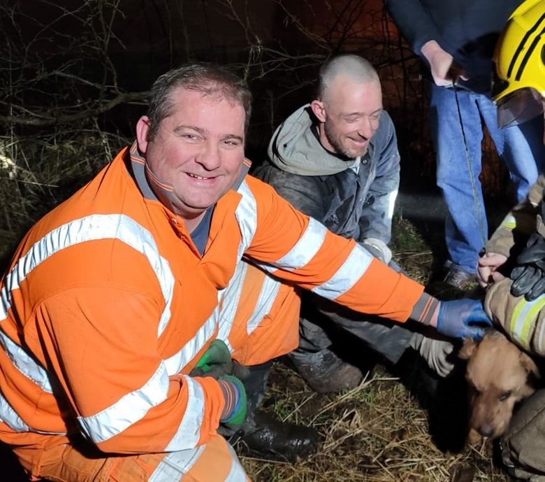Illustration de l'article : Des pompiers tentent de secourir un chien piégé dans un terrier, sous un garage